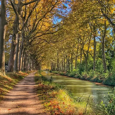 Appartement L'industriel De Kleber - Gare - Netflix - Calme Toulouse