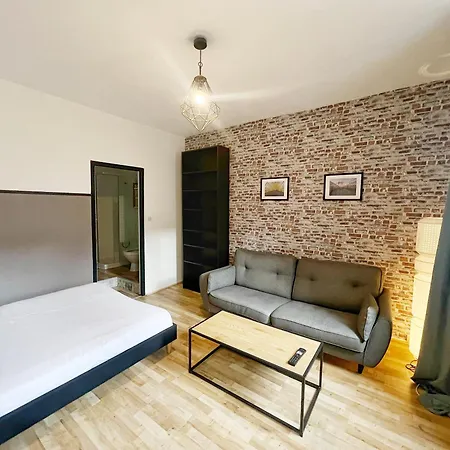 Apartment L'industriel De Kleber - Gare - Netflix - Calme