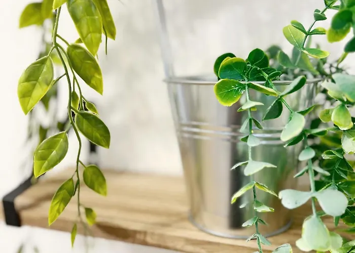 Appartamento L'industriel De Kléber - Gare - Netflix - Calme