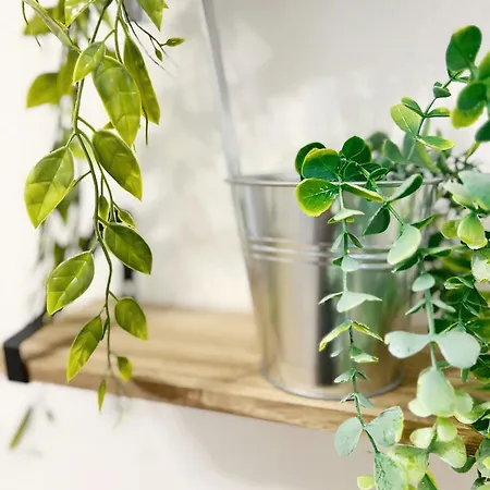 L'industriel De Kléber - Gare - Netflix - Calme